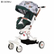 Pushchair/carrinho de criança (nascimento a 3 anos aproximadamente, 0-15 quilogramas), peso leve com o freio compacto da suspensão da roda de FoldFour