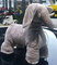 As crianças EN62115 montam no elefante macio Toy Car de Toy Car 8KG 48 meses