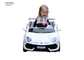As crianças dois viajam de automóvel o passeio 6V4AH elétrico em Toy Car With Parallel Swing
